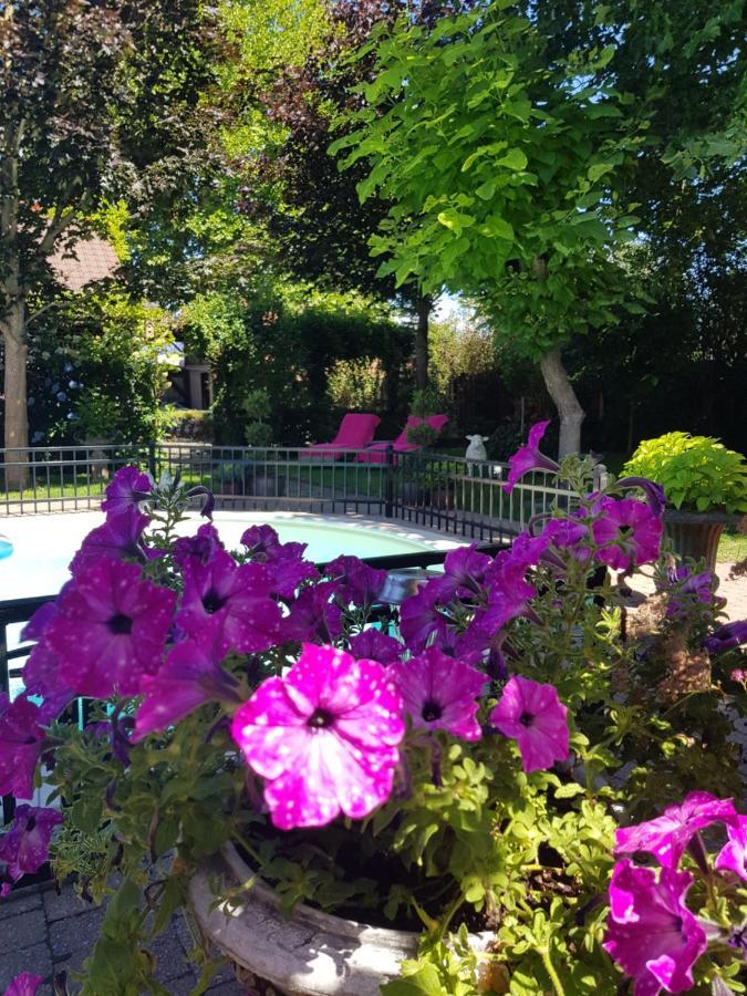 B&B Le Jardin Pelt Ngoại thất bức ảnh